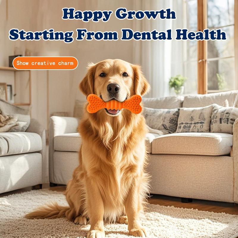 Dog Chew Toys (2-Pack) – Dog Toothbrush Stick for Dental Care, Teeth Cleaning, and Gum Health – Safe Chew Stick for Dogs, Puppies, and All Breeds